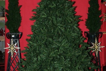 unadorned_christmas_tree