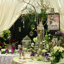 carolina_weddings_show_01