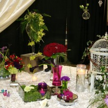 carolina_weddings_show_08