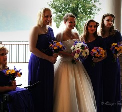 Bride and maids