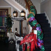 Mardi gras dragon at the 2015 rcc foundation gala