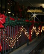 2015 nighttime christmas storefront