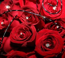 All red roses wedding bouquet with bling studs