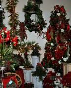 Assorted christmas arrangements