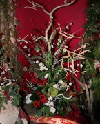 Christmas nature display