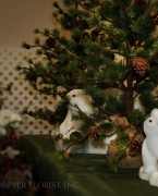 Christmas polar bears around pine tree