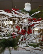 Snowy owl christmas display