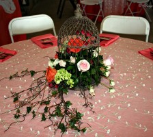 Beautiful wedding reception held at the Stanley Farm events barn pavillion featuring the Dylan Smith and Logan Belton wedding couple after their marriage vows.