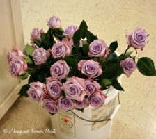 Lavender Vintage Roses