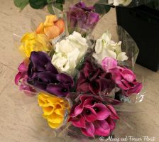 Assorted Color Callas