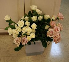 Pink And White Roses Taking Water