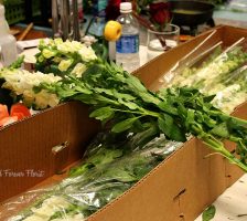 White Stock Flower Stems