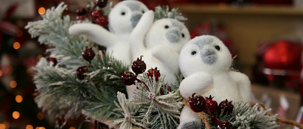 Baby Penguins Riding A Sled