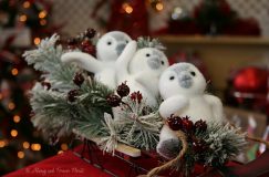 Baby Penguins Riding A Sled