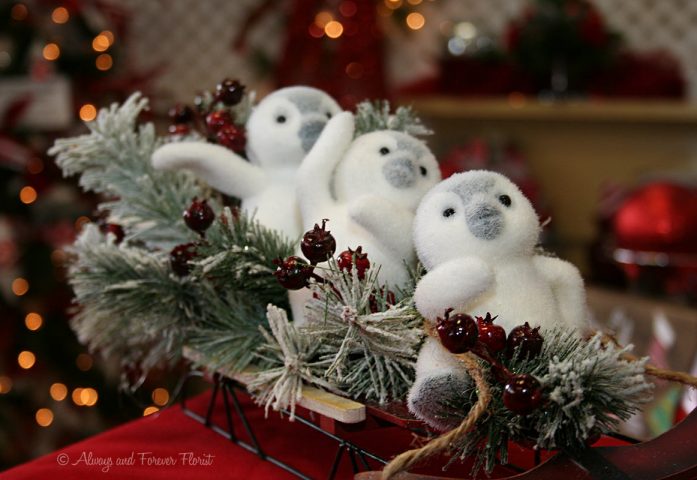 Baby Penguins Riding A Sled