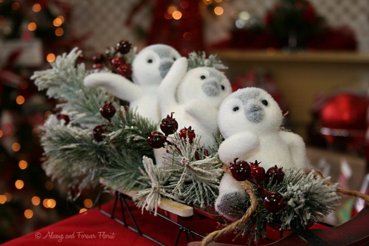 Baby Penguins Riding A Sled