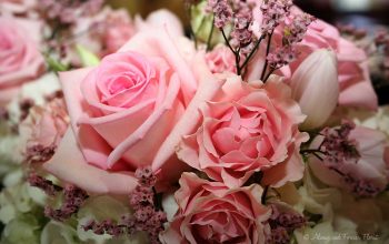 Beautiful Pink Rose Bouquet