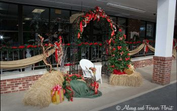 Front Entrance Christmas 2016