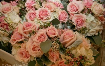 Sophie roses bridal bouquets