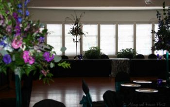 Wedding reception at starmount cc greensboro 3