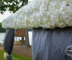 Pergola hydrangea bar