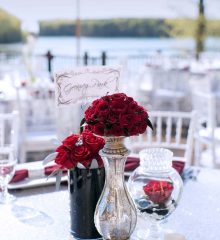 Red rose elegance